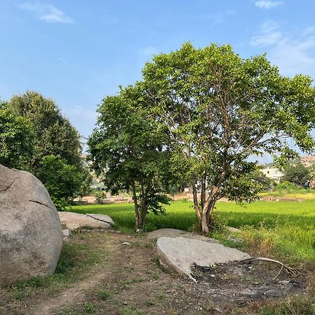 Sunrise Guest House & Restaurant Hampi Zewnętrze zdjęcie